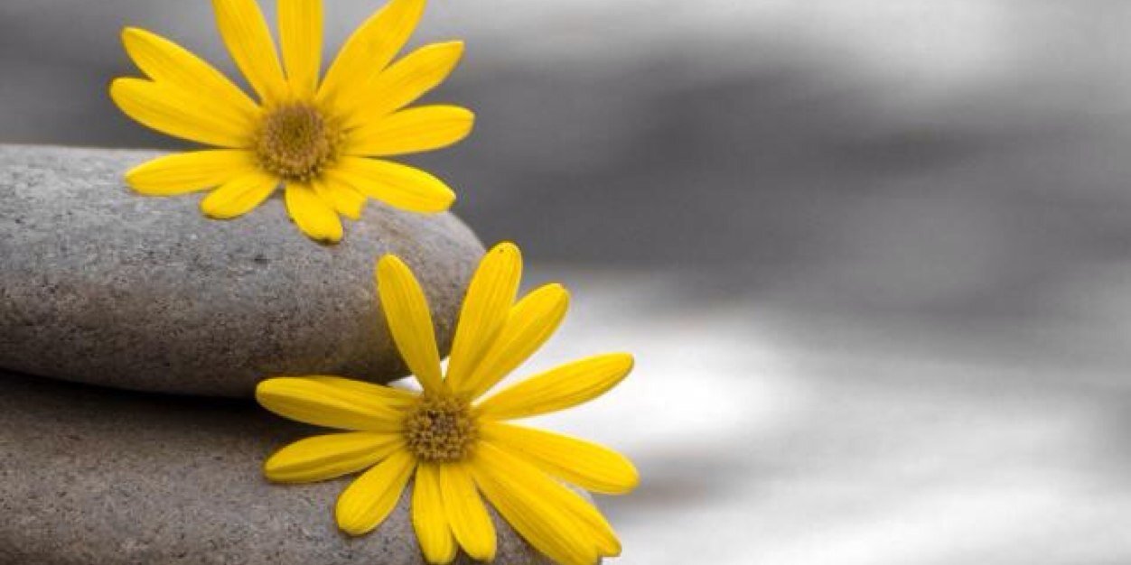 Erbs_Manon's profile banner image