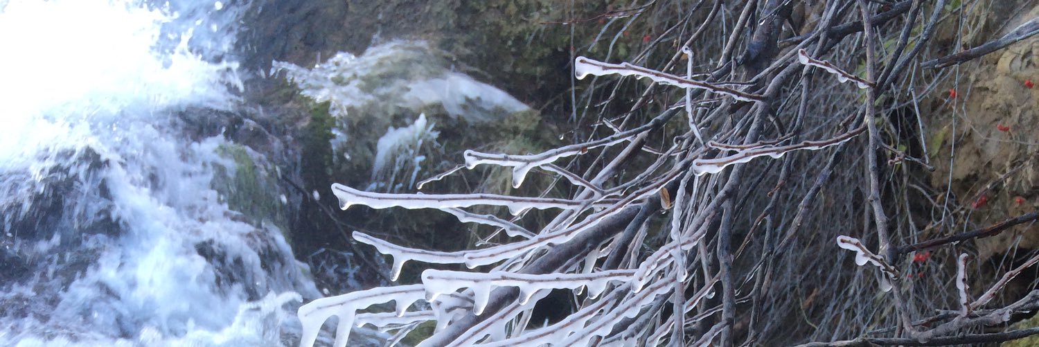 RachelAnders21's profile banner image