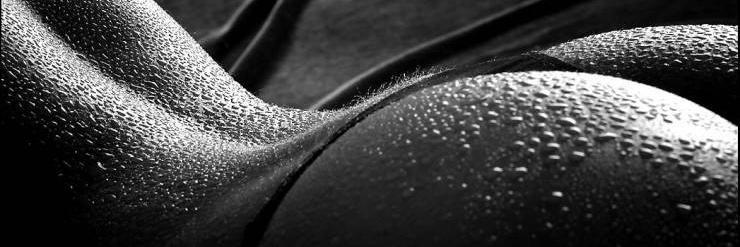 TerSebast's profile banner image