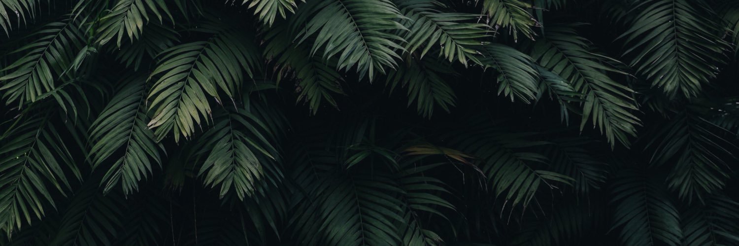 Estellegdj's profile banner image