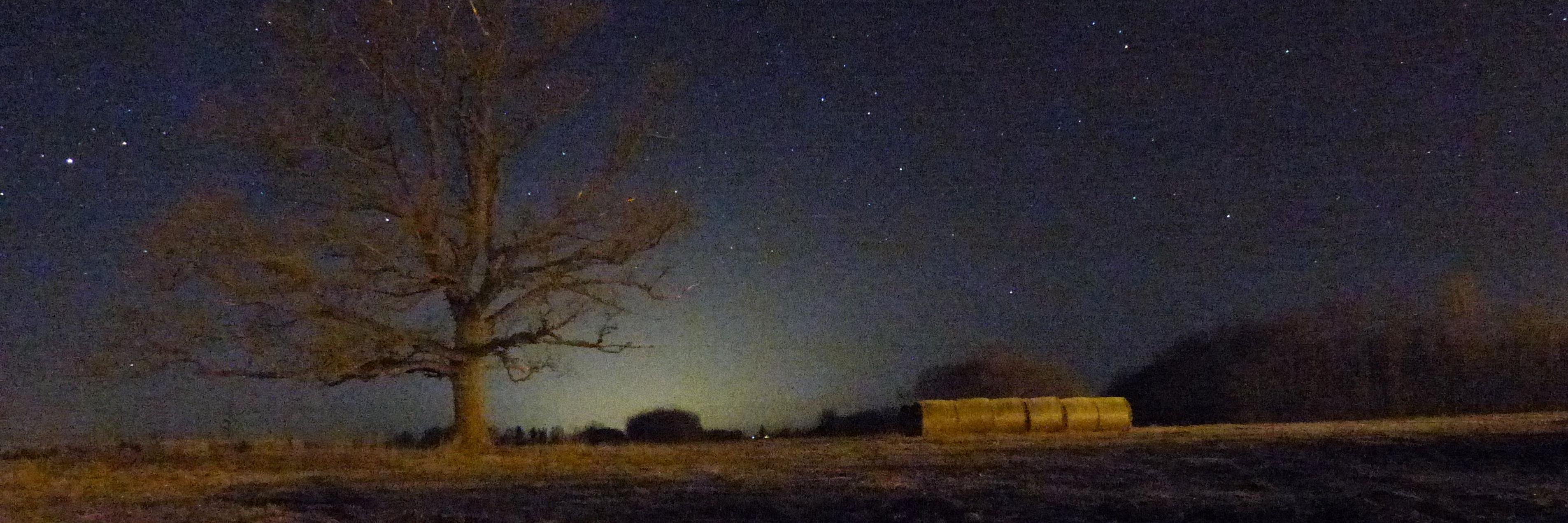 Imants Jakovļevs banner