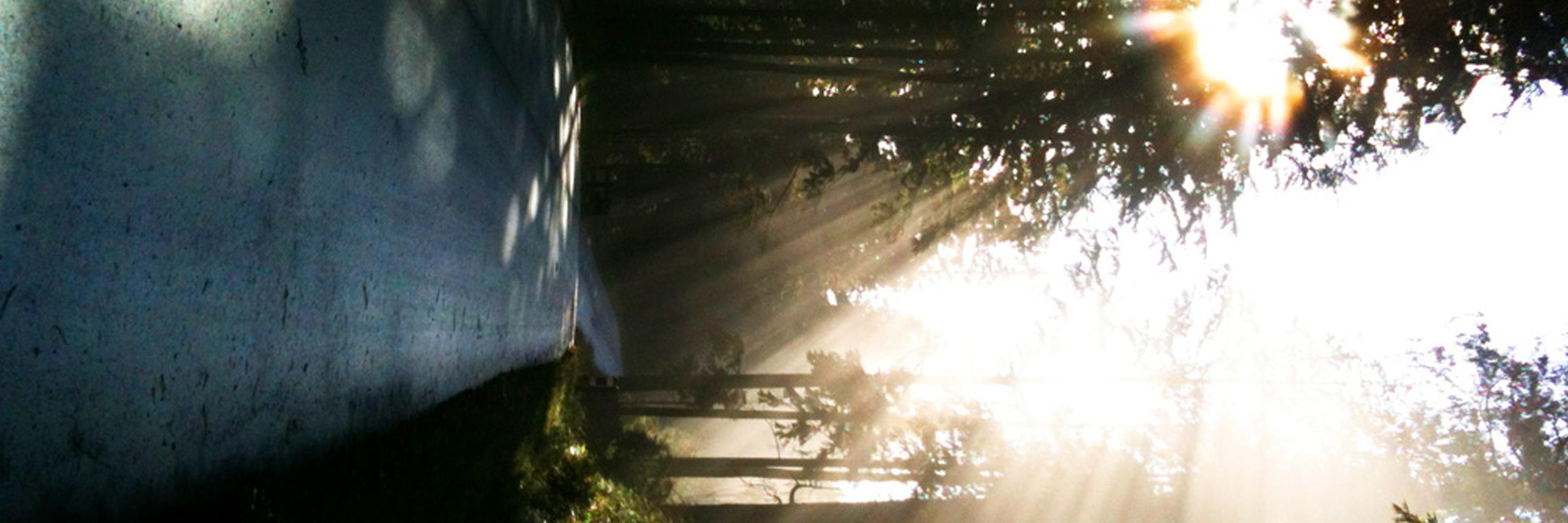 Neil Stevenson-Moore banner