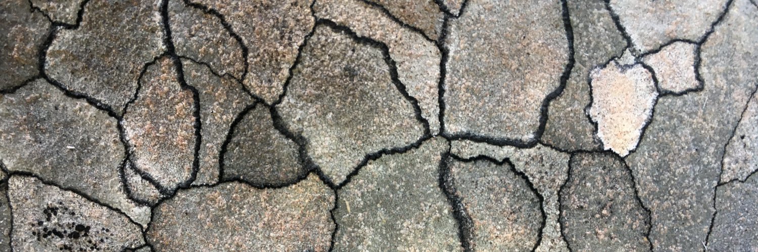 Julieta's Mindfulness Studies banner