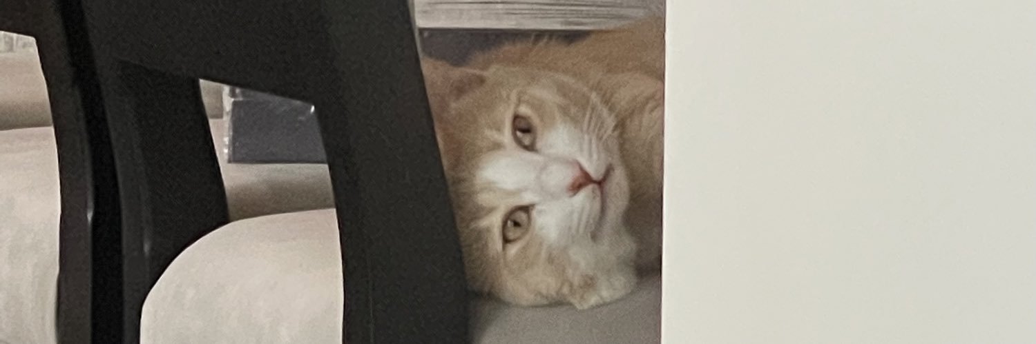 patrickindc's profile banner image