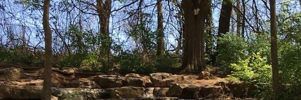 Jen_theMom Profile Banner