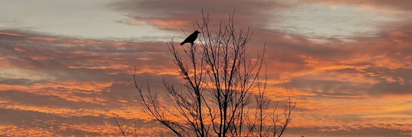 alwoodgate Profile Banner