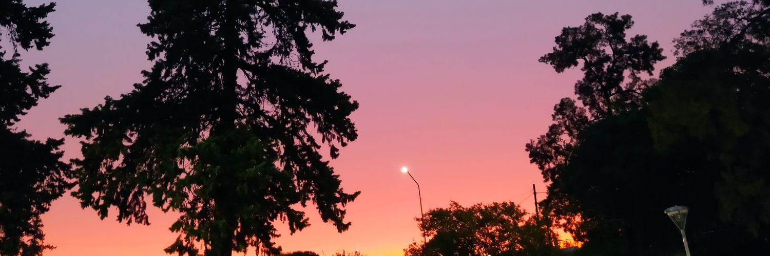 MacaG122's profile banner image