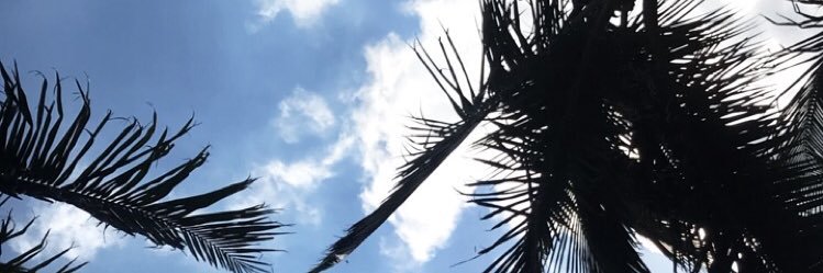 norsiee's profile banner image