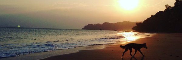 YGoodlink Profile Banner