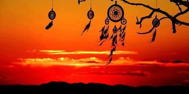 _aliyne's profile banner image