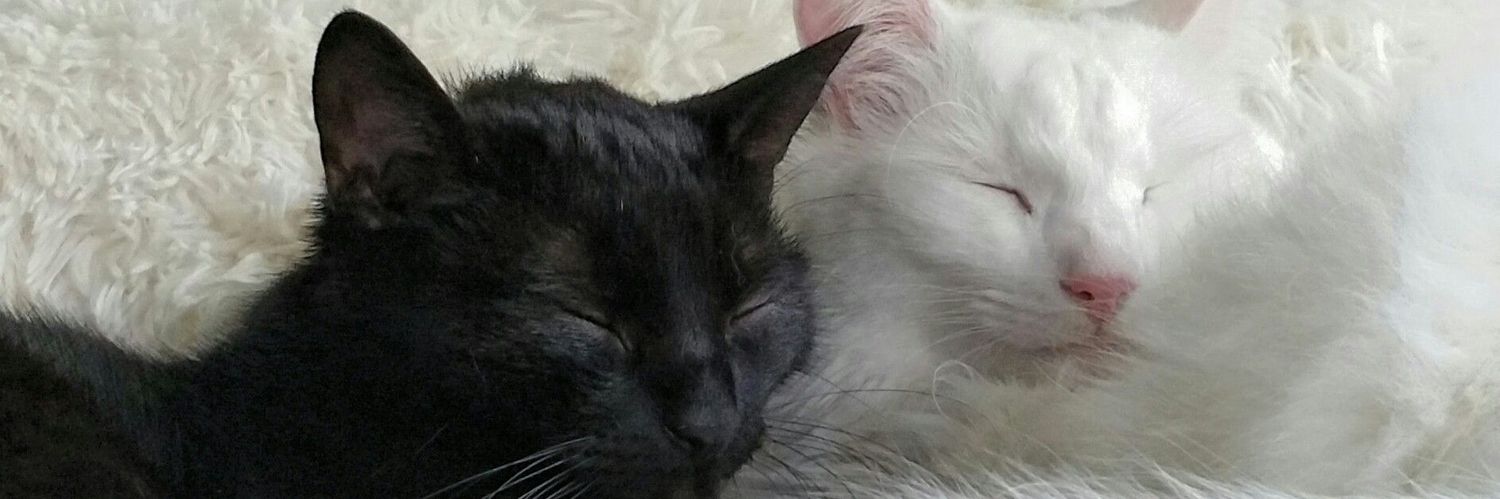 perhaplxve's profile banner image