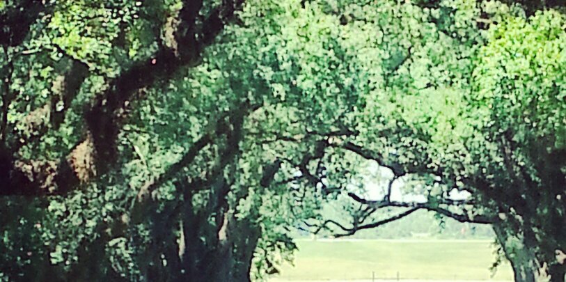 JonathanJesusL's profile banner image