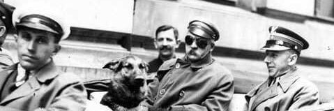 Ilona Darmach banner