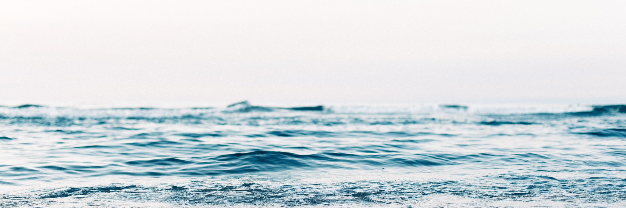 Will Beeching banner