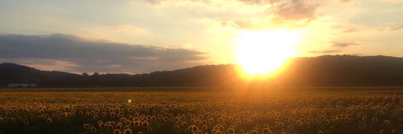 StaciLynnNeff's profile banner image