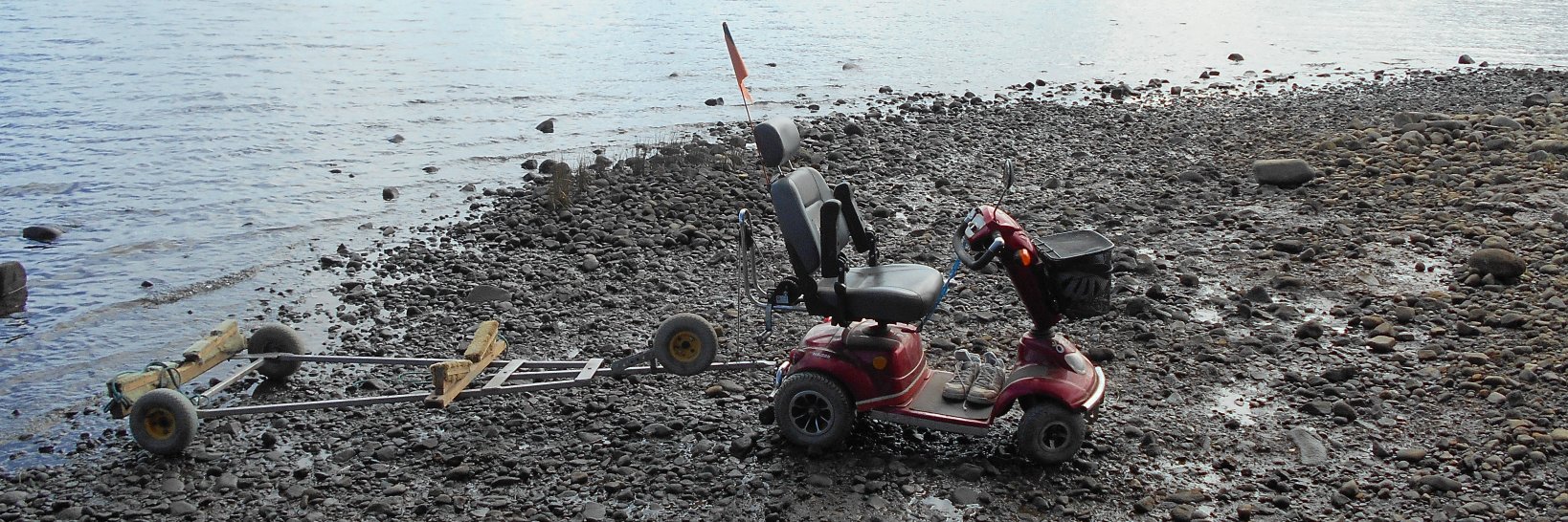 Denise DiNoto banner