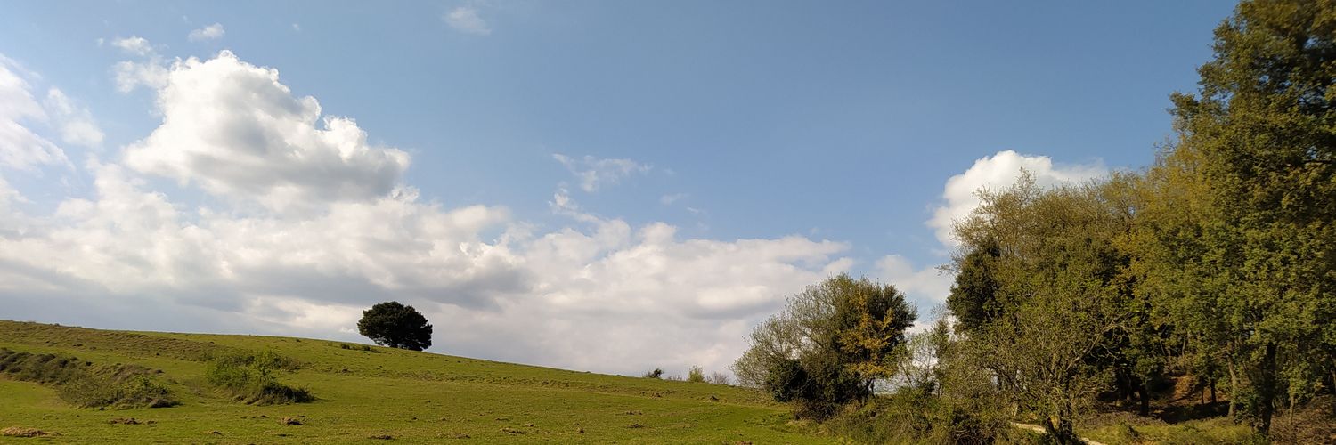 sonietaCF's profile banner image