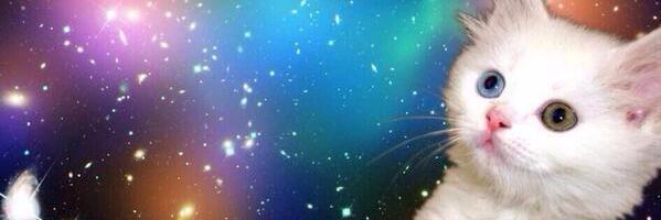 Selu_Rade's profile banner image