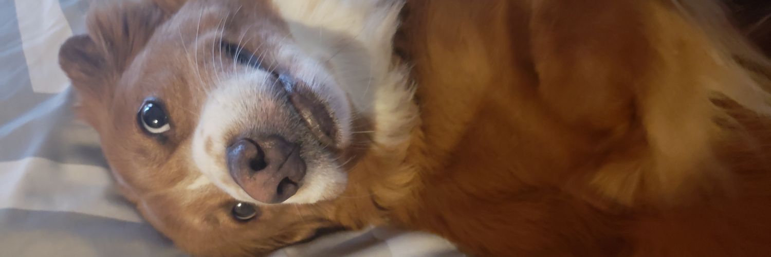 Baba Simisola banner