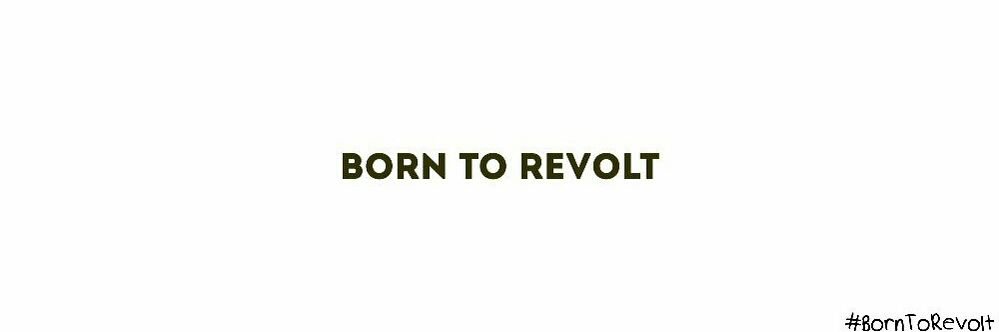 BornToRevolt's profile banner image