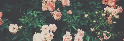 Marguzmann1's profile banner image