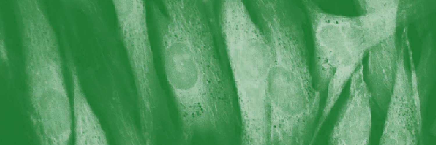 Biomolecules MDPI's banner