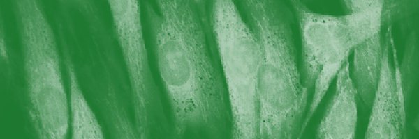 Biomol_MDPI Profile Banner