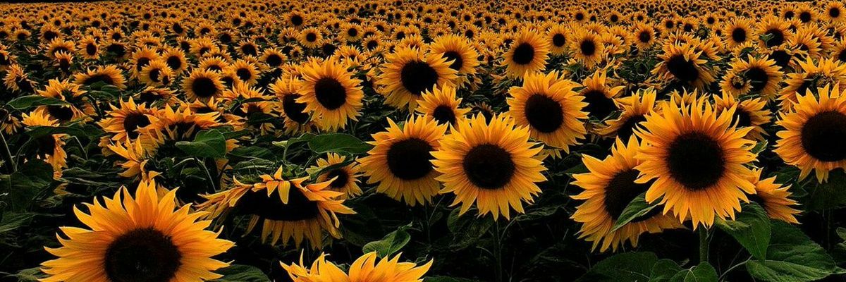 yarram45's profile banner image