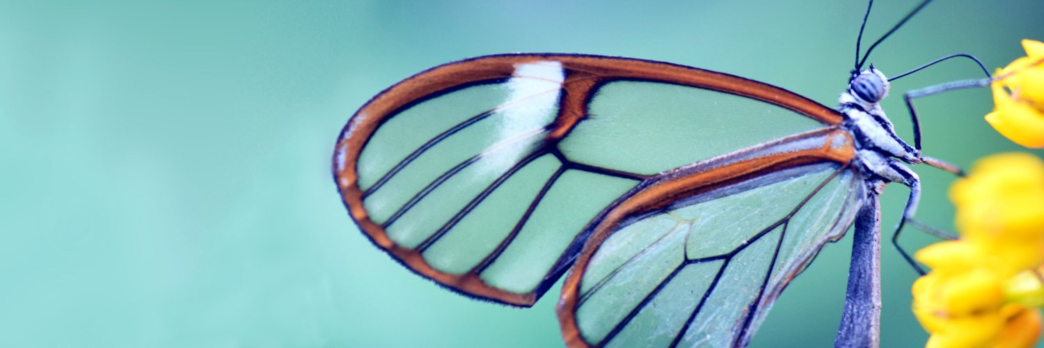 David James Clarke IV banner