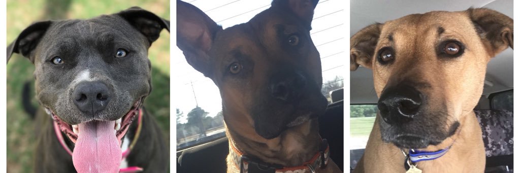 PeytonStanley's profile banner image