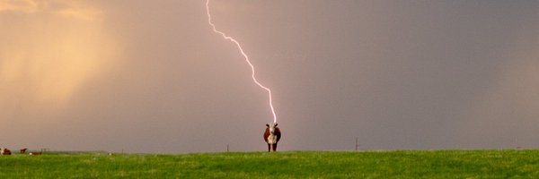 rebeccamlan Profile Banner