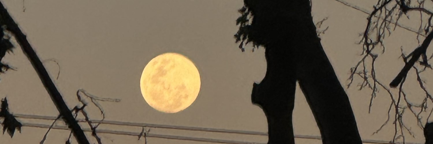 camipifferi's profile banner image