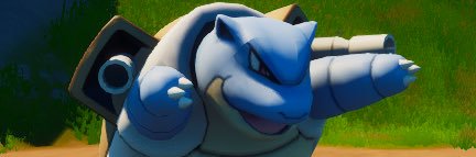 DolphinDom 🐬 | Dominic Catelani banner