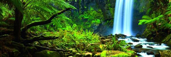 lifeworld Profile Banner
