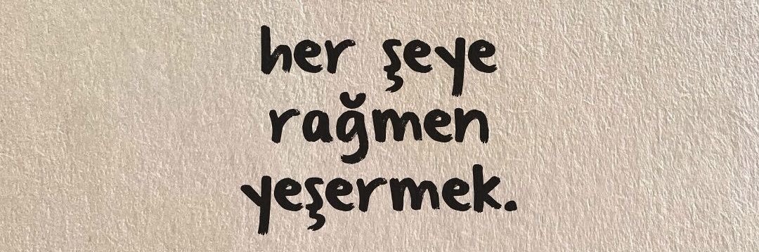 zeylumk's profile banner image
