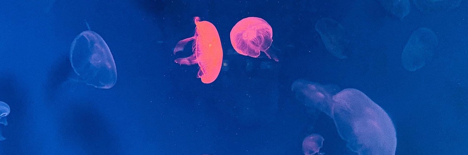 Ohpoppp's profile banner image