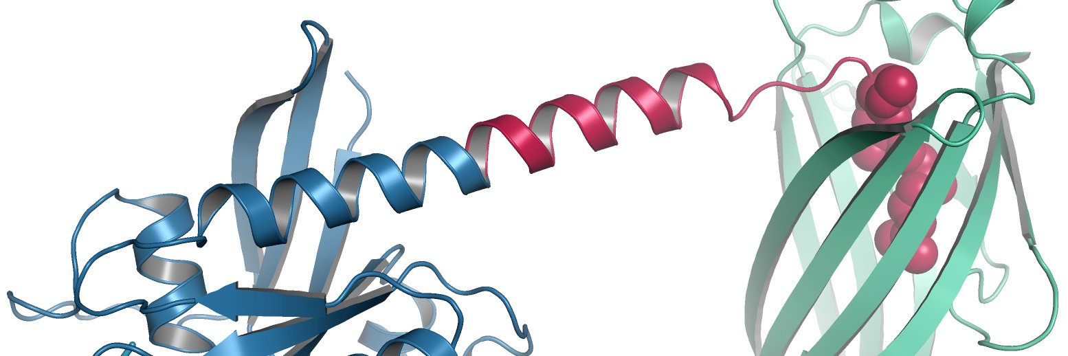 Simanshu Dhirendra banner