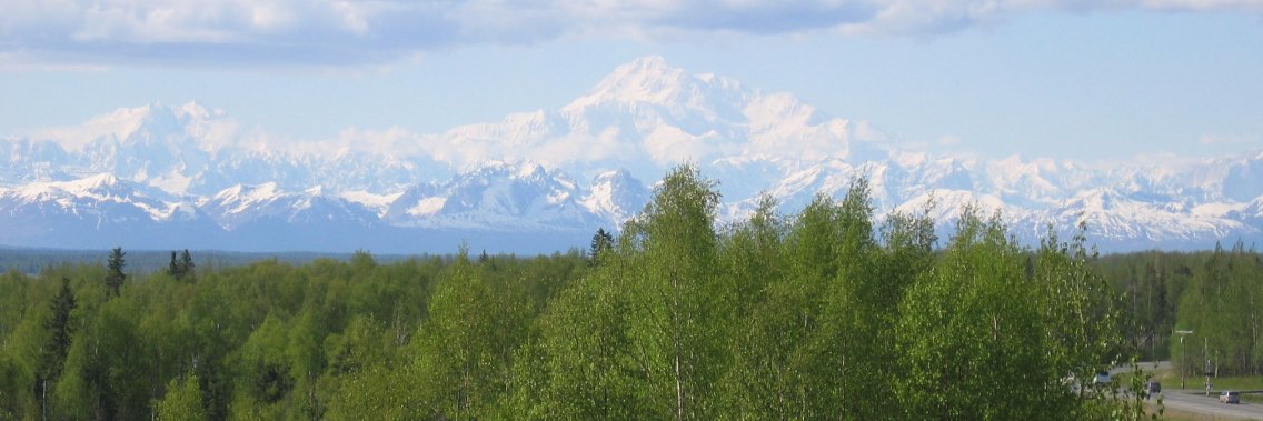 Eric Anderson banner