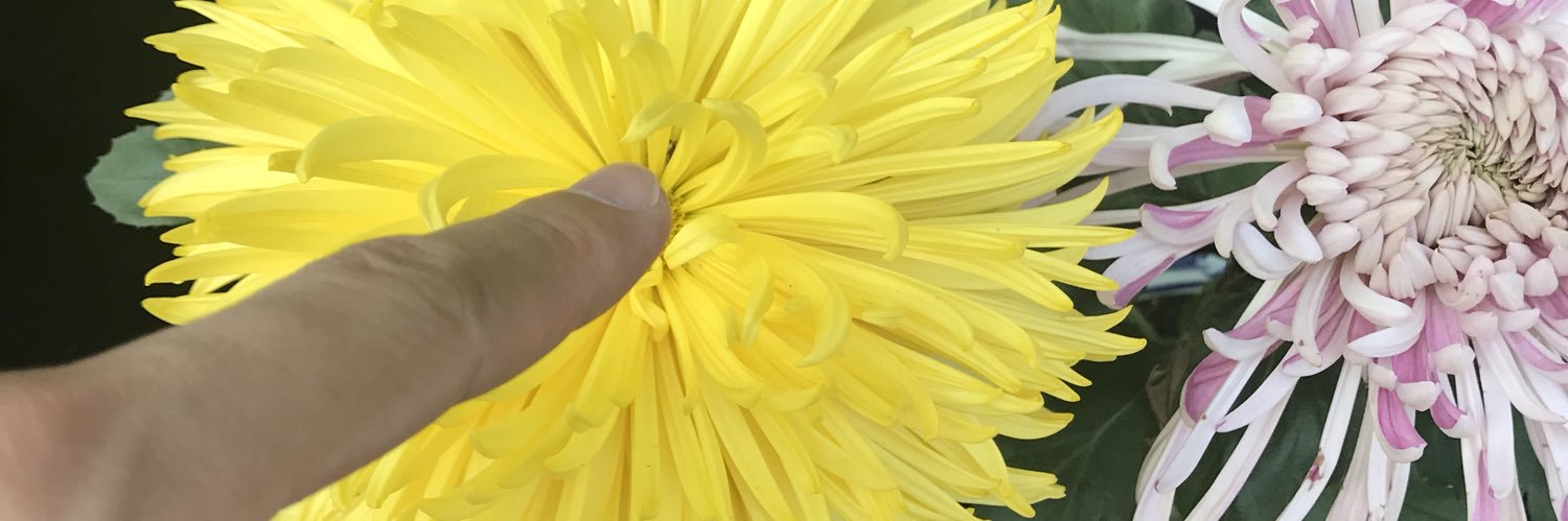 bigbenegg's profile banner image