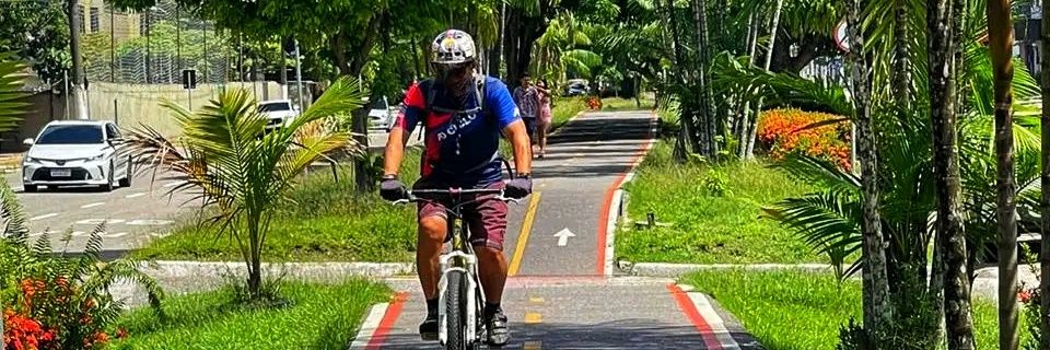 Evaldo Araújo banner