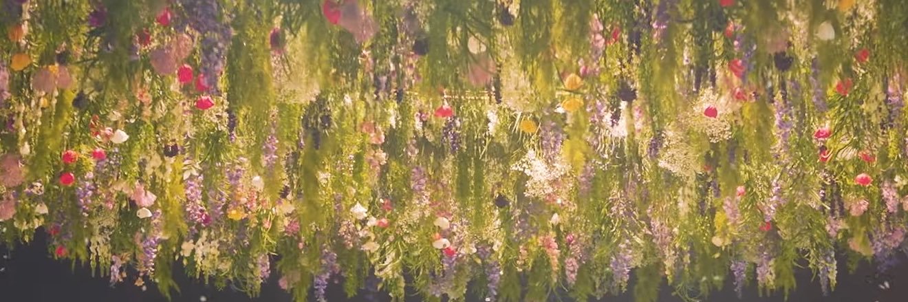utpr_sakura's profile banner image