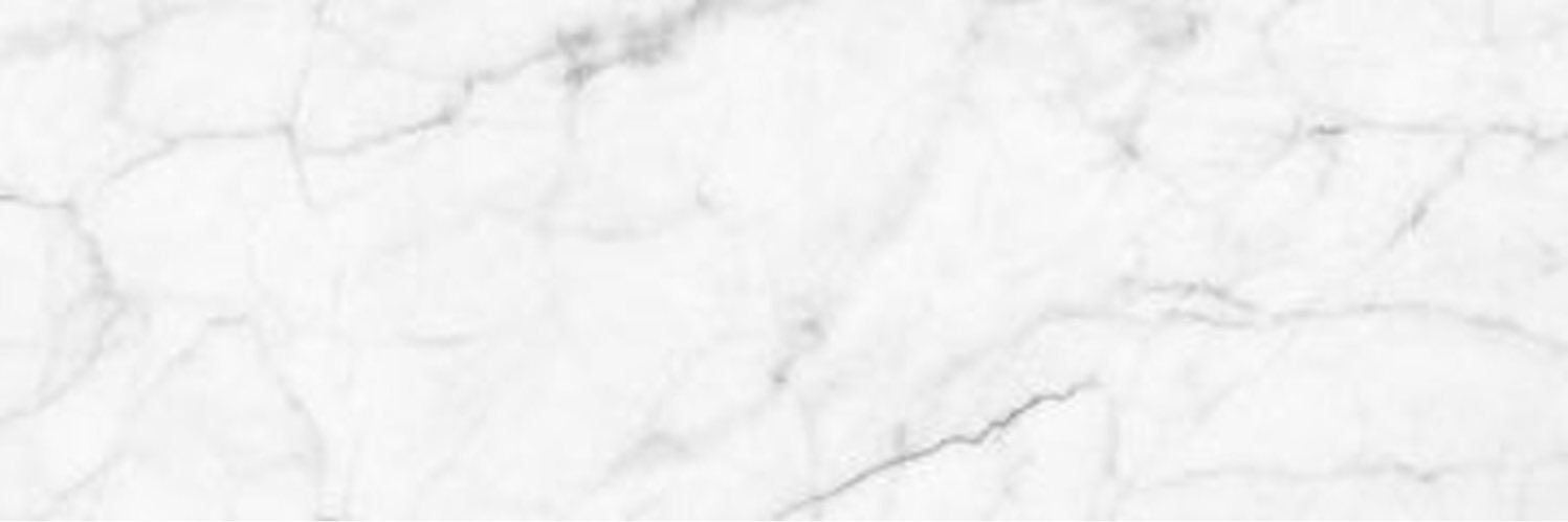 lottie's banner