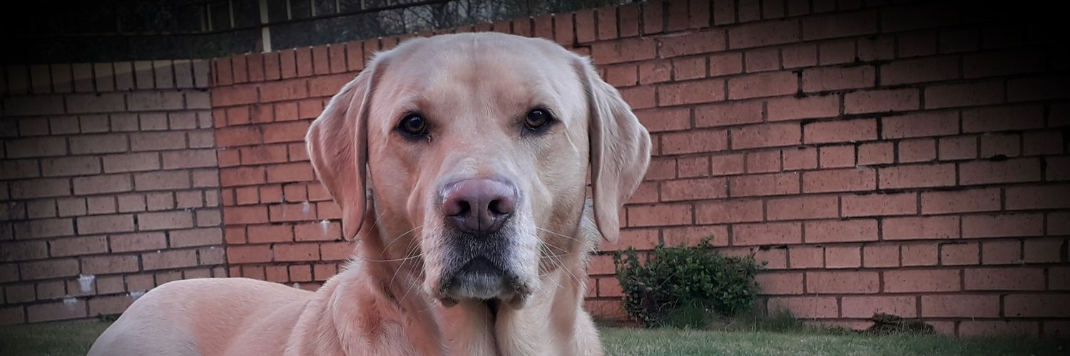 WeeBarkley's profile banner image