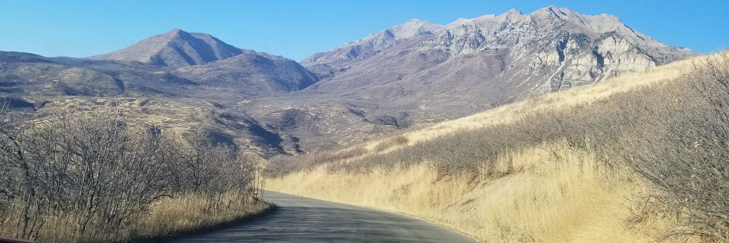 James N. Iseghayan banner