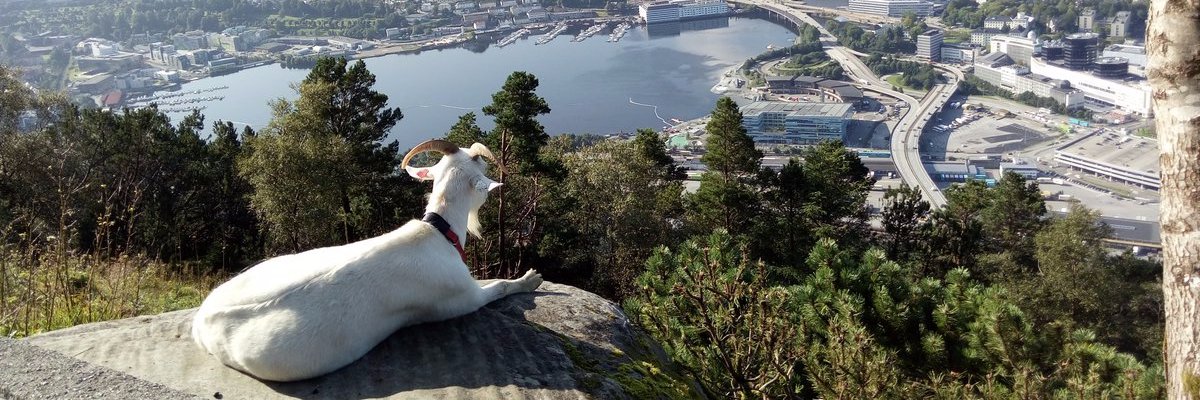 AlicienteMtz's profile banner image