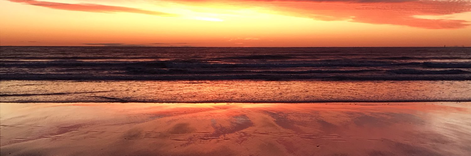 mfd0005's profile banner image