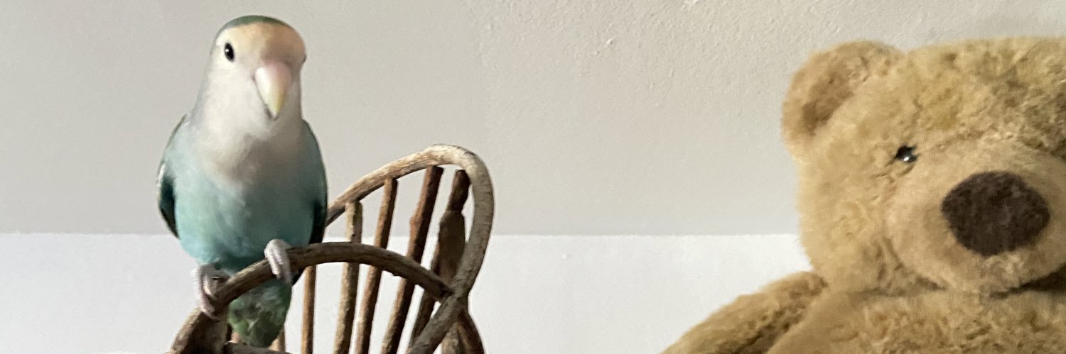 Mberber2's profile banner image
