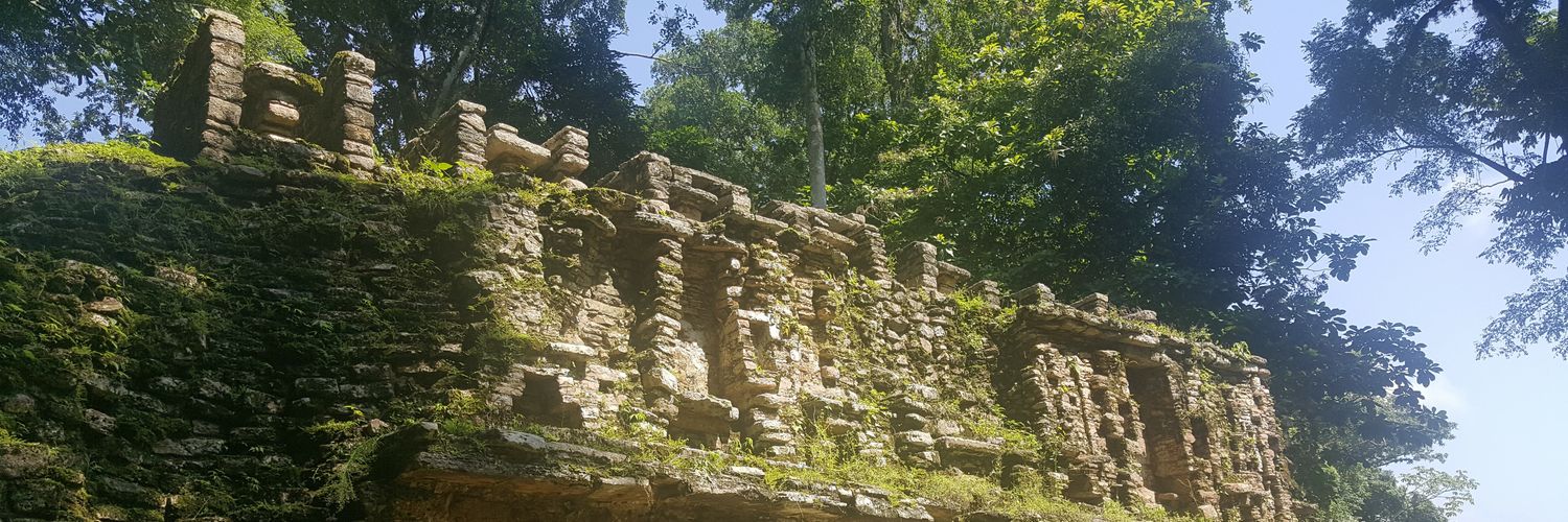 ChinosNecios's profile banner image