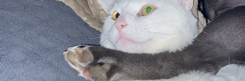 mxthdrk's profile banner image