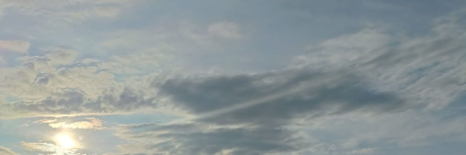 _innocentwild's profile banner image